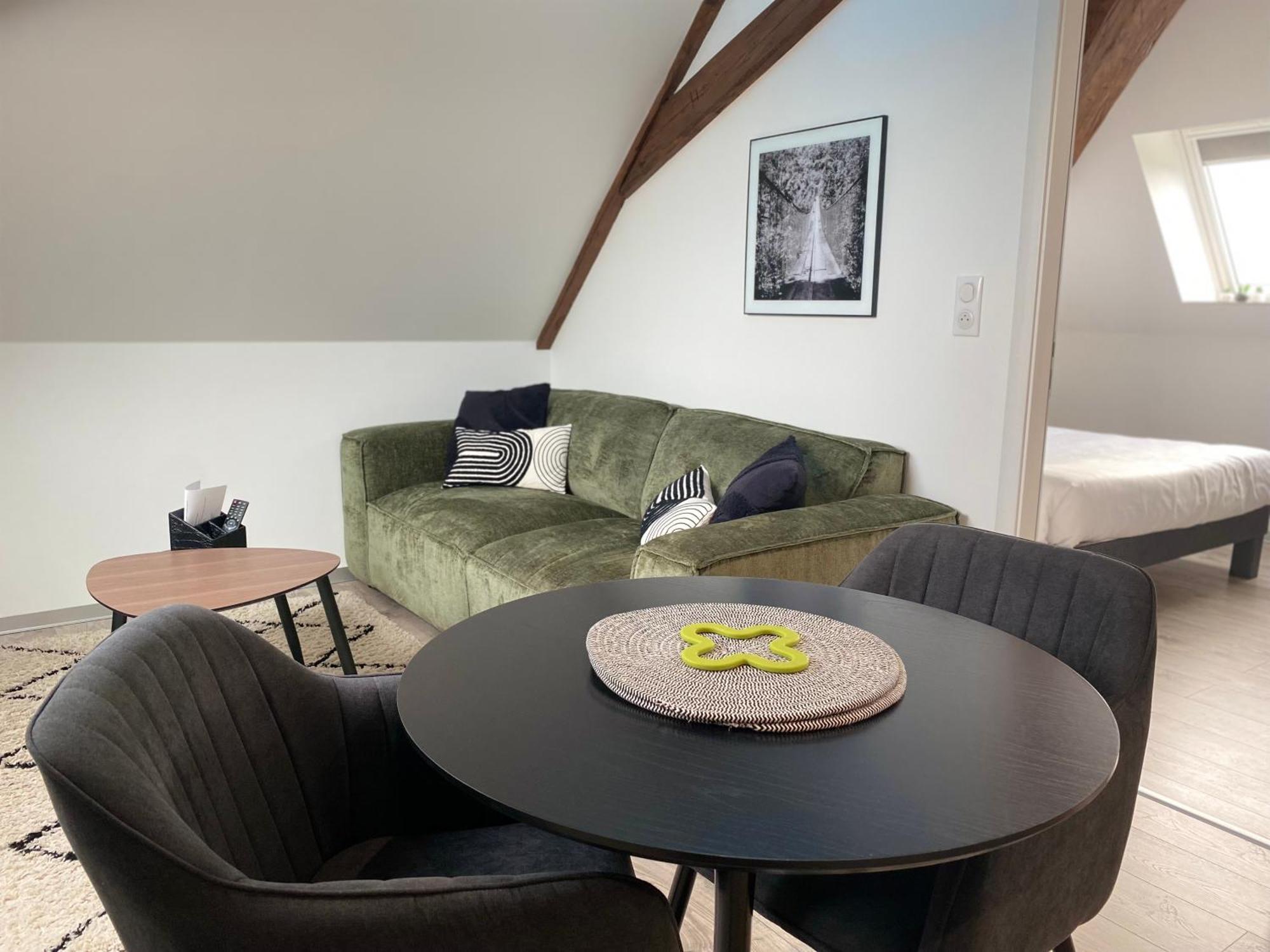 Aparthotel Les Rives Des Habsbourg Ensisheim Exterior foto