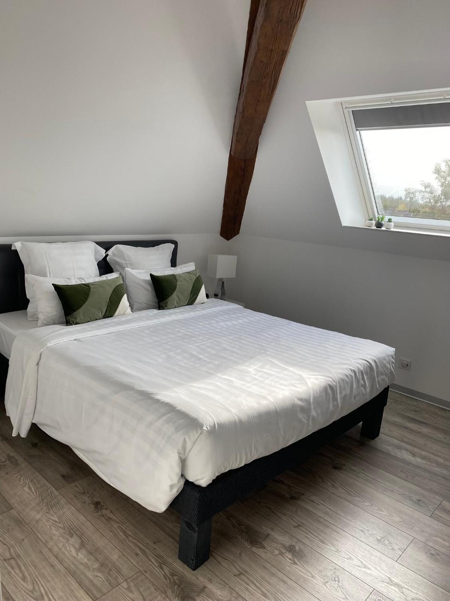 Aparthotel Les Rives Des Habsbourg Ensisheim Exterior foto